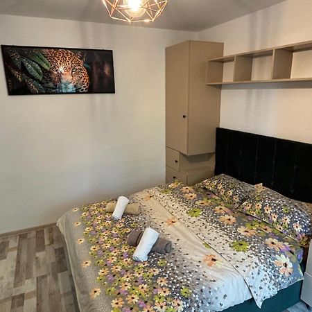 SweetHome Bvd Stefan cel Mare Iasi Extérieur photo